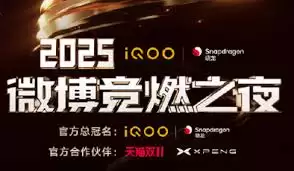 2025΢����ȼ֮ҹ��ôͶƱ