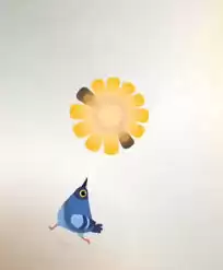 ���ĸ��ӵ�һ����ô��