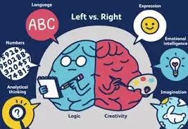 左右脑倾向测验网址入口在哪 左右脑倾向测验网址入口在哪