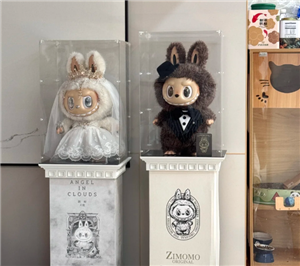 ������zimomo����ʹ��ô�� ������zimomo����ʹԭ�۶���