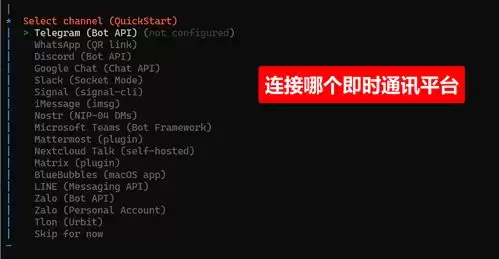 openclaw���ļҹ�˾��-openclaw������˾����