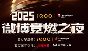 2025΢����ȼ֮ҹ��ôͶƱ