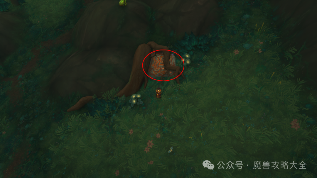 ħ������12.0������ǽ������