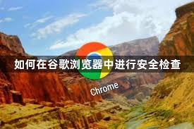 �ȸ��������ν��а�ȫ���