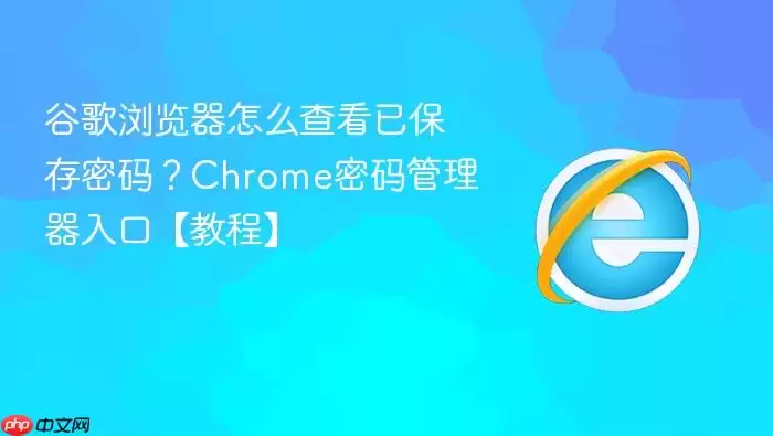 谷歌浏览器怎么查看已保存密码?Chrome密码管理器入口【教程】 谷歌浏览器怎么查看已保存密码?Chrome密码管理器入口【教程】