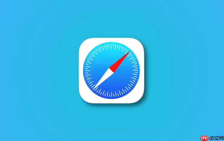 safari�������˽������ʲô��˼