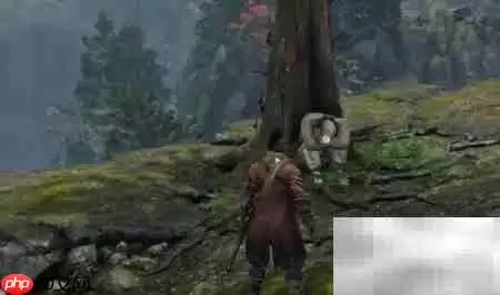 只狼仙峰脚技能学习攻略 只狼仙峰脚技能学习攻略