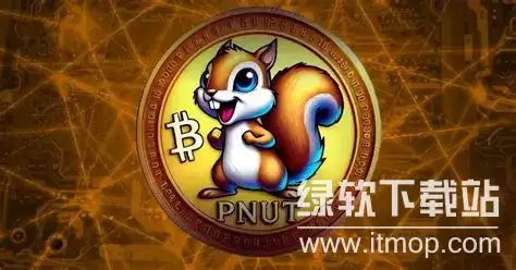 PNuT����ʲô���͵ıң����߱���Щ��;��