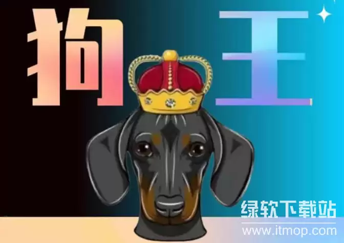 Dogeking��Doge���������ģ�����������ʲô��