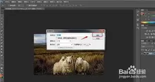 PS软件如何设置照片冷却滤镜效果 PS软件如何设置照片冷却滤镜效果