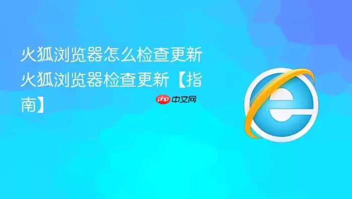 ����������ô������