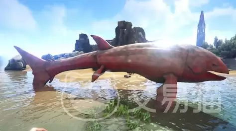 方舟生存进化手游利兹鱼方舟生存进化手游利兹鱼驯服方法、刷新点与实用技巧详解 方舟生存进化手游利兹鱼方舟生存进化手游利兹鱼驯服方法、刷新点与实用技巧详解