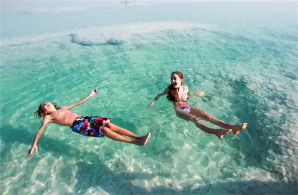 蚂蚁庄园4月6日今日答案2026 蚂蚁庄园4月6日今日答案2026