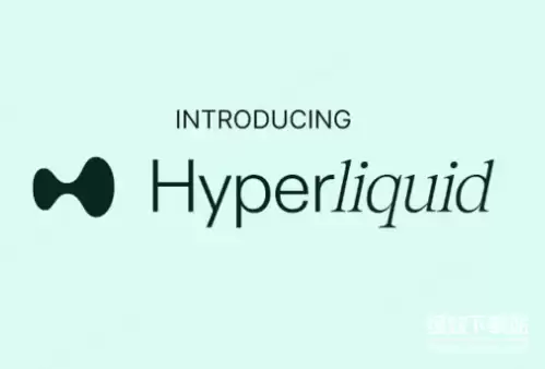 ʲô��Hyperliquid L1��HYPE������Ѻ����������ʲô���ã�