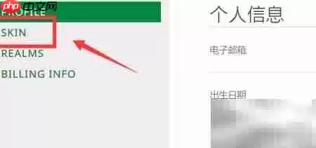 �ҵ�����1.13Ƥ��ʹ�ý̳�