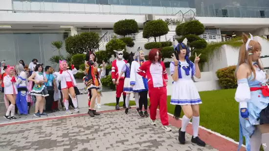 ���İ���������ʵ���������������ȫ���˿�μ� ��Ϊ������