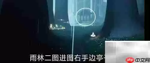 ����3.20�ճ�������ָͨ��