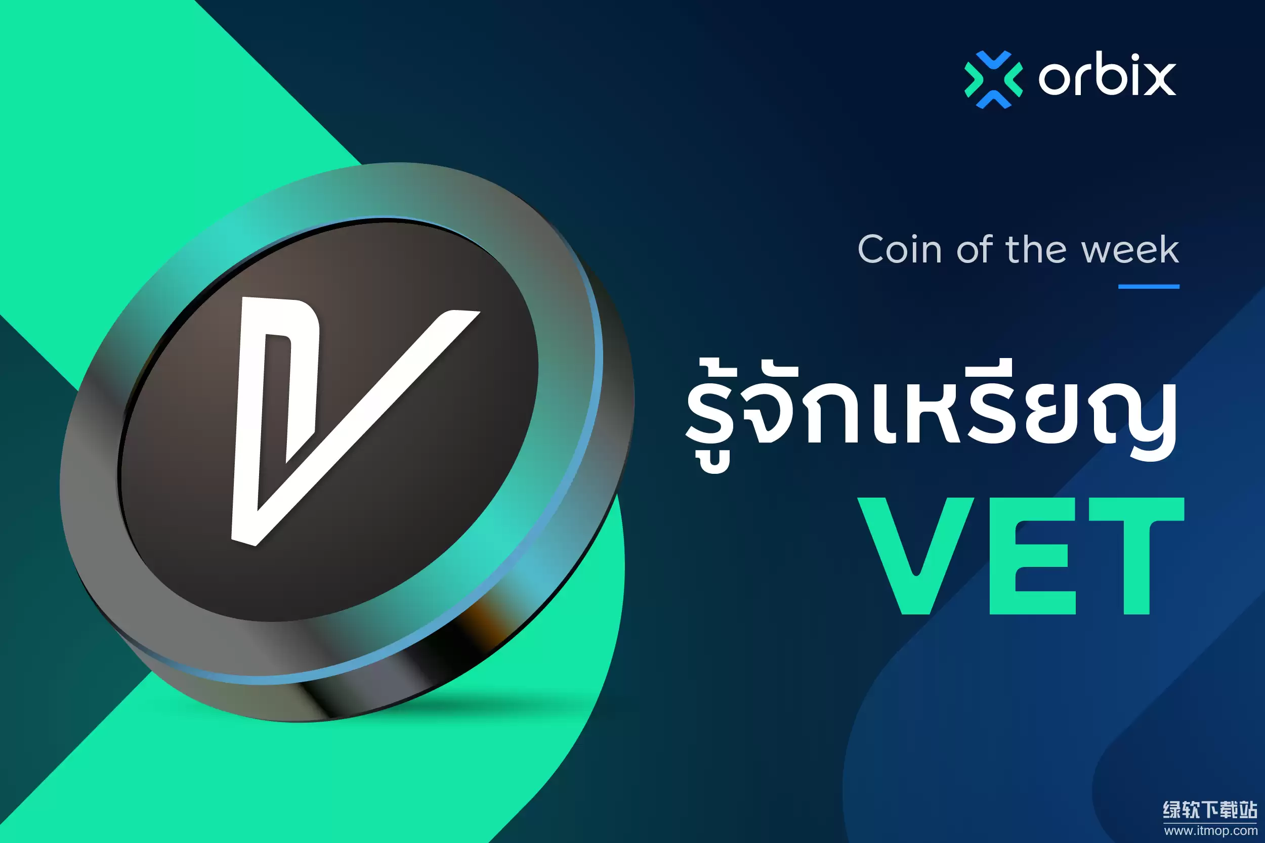 VET����ʲô���͵ı��֣����ʺ�Ͷ����