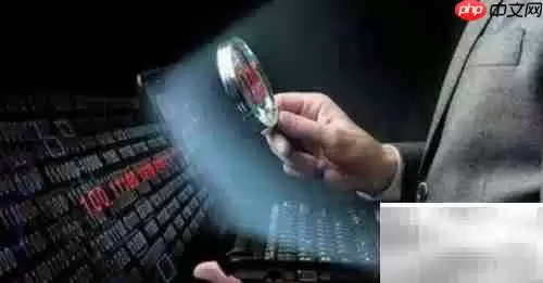 高级漏洞挖掘技术解析 高级漏洞挖掘技术解析