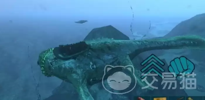 ��������������ΰ˴�����ȫ����������������������޻�ȡ������ʵս����