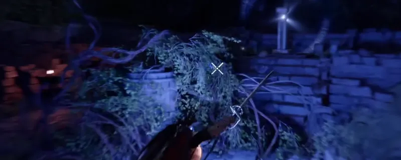 ����ɫɳĮ��Ӱ��ɭ���ż����չ���-��ϸ�������