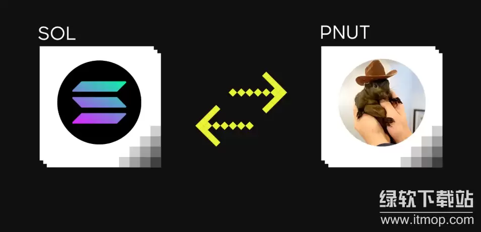 PNuT����ʲô���͵ıң����߱���Щ��;��