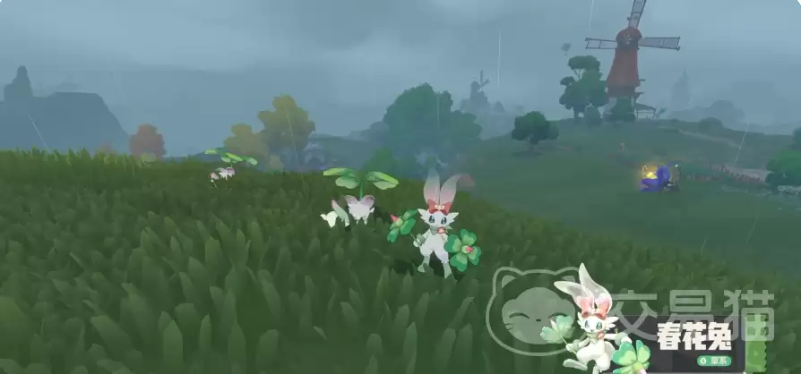 ����������繲�����鴺������������ż��徫���趨�뱳������