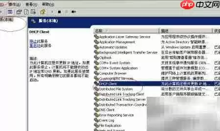 Win2003启动DHCP客户端服务 Win2003启动DHCP客户端服务