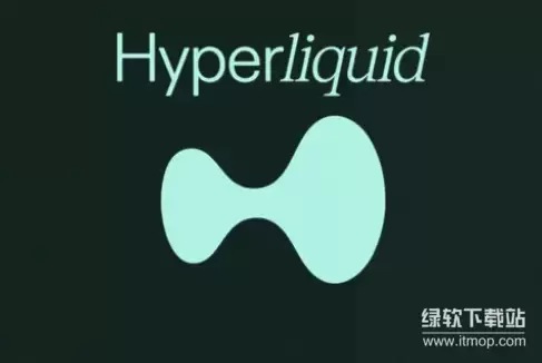 ʲô��Hyperliquid L1��HYPE������Ѻ����������ʲô���ã�