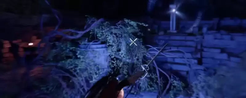 ����ɫɳĮ��Ӱ��ɭ���ż����չ��Է���