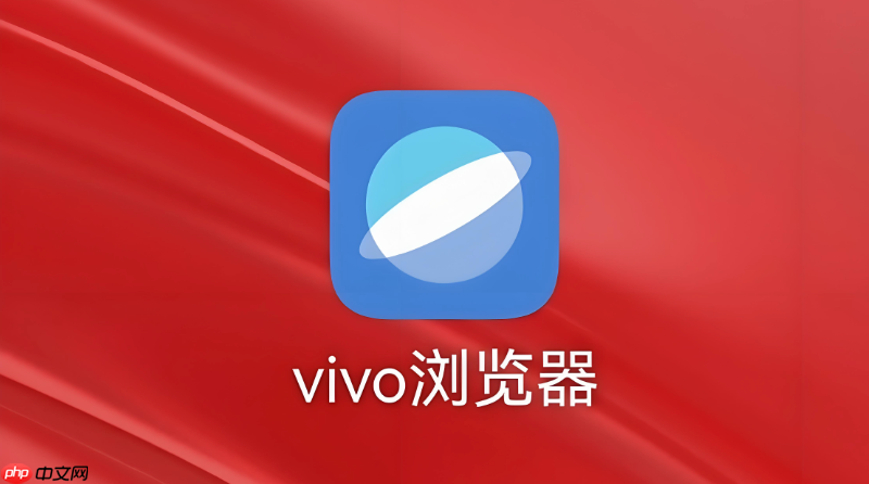 vivo�������˽�ռ���ô��