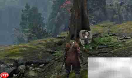 ֻ���ɷ�ż���ѧϰ����