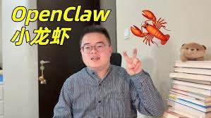 OpenClawΪʲô��С��Ϻ