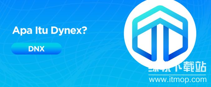 DYNEX���Ƿ������Ŀ����������˭��