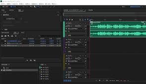 Audition�����������