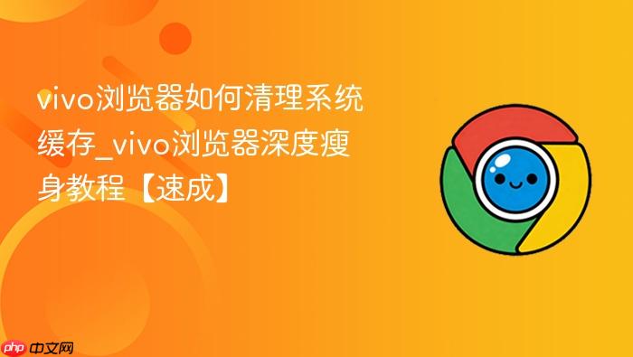 vivo������������ϵͳ����