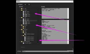 premiere����������гߴ�