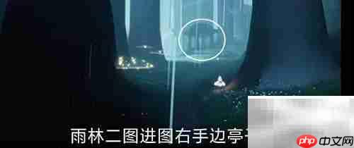 ����3.20�ճ�������ָͨ��