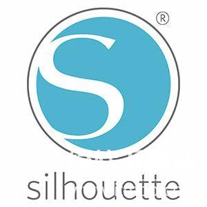 Silhouette���300������,����ִ�л����������DeFi��ȫ��