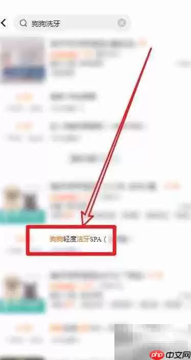 狗狗口臭怎么办?5招轻松解决 狗狗口臭怎么办?5招轻松解决