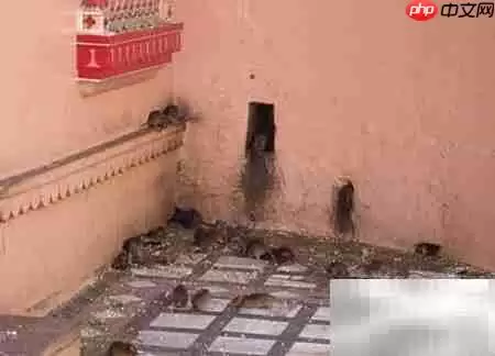 ������������