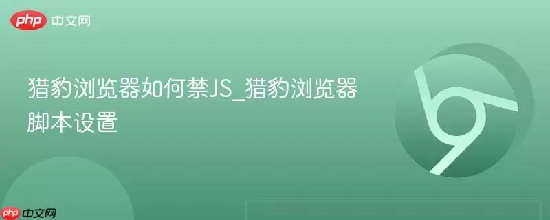 猎豹浏览器如何禁JS 猎豹浏览器如何禁JS