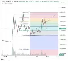 FLOKI币走势如何预测 FLOKI币走势如何预测