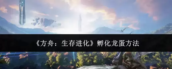 �����ۣ����������������������