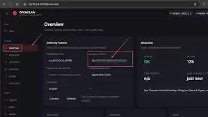 OpenClaw�������Ҫ����ʲô