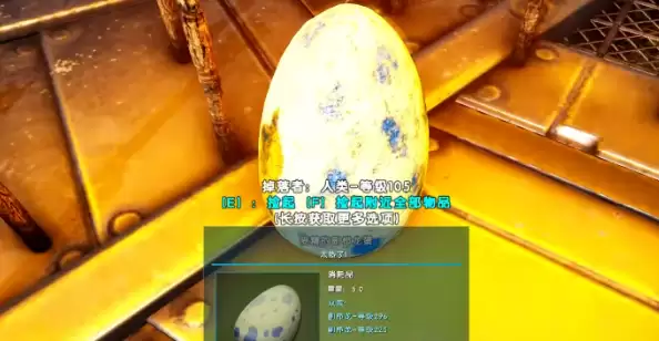 �����ۣ����������������������