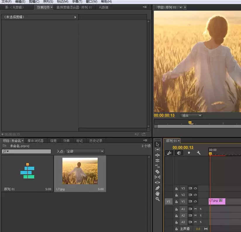 premiere��ô����Ƶ������ɫЧ��