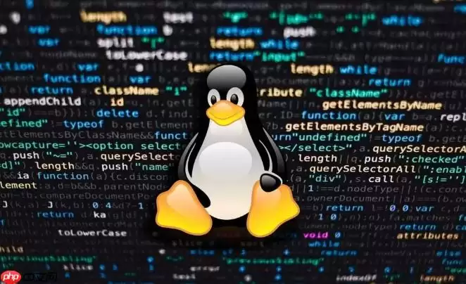 Linux��θ�ʽ�������ļ�ϵͳ_Linux�����ļ�ϵͳ��ʽ��ָ��