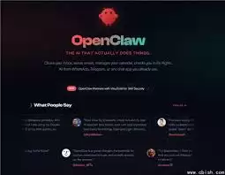 openclaw��ʲô��Ŀ
