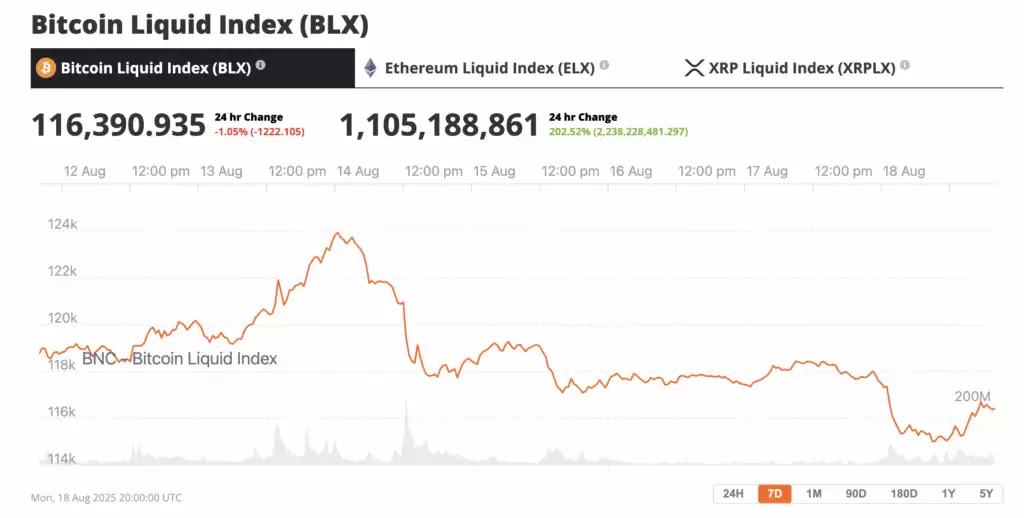 ���˶������ճ��ױ��ر�